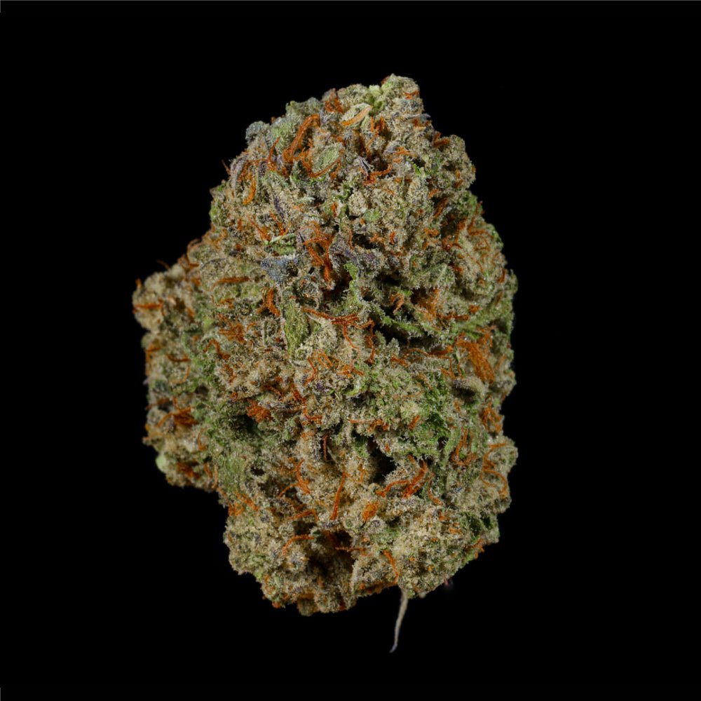 Pipe Dream THCA Flower - Lost In Translation