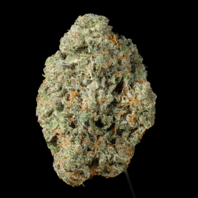 Platinum Bubba THCA Flower - Lost In Translation