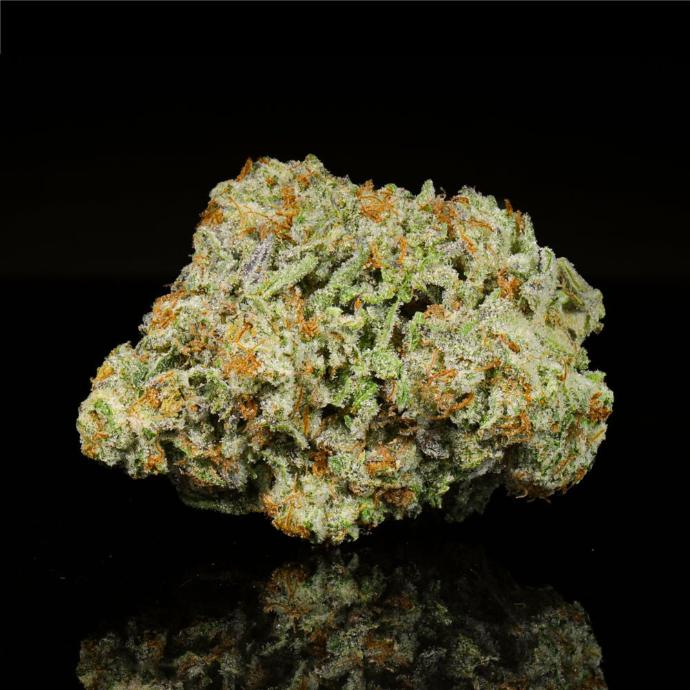Platinum Cookies THCA Flower - Lost In Translation