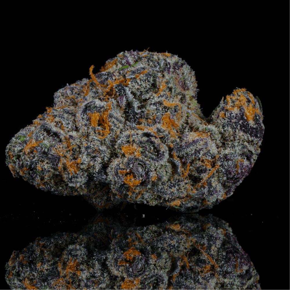 Purple Haze THCA Flower - Lost In Translation