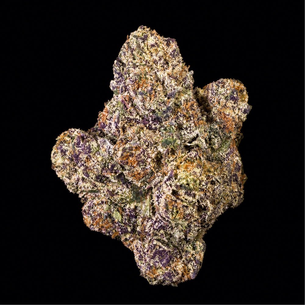 Purple Octane THCA Flower - Lost In Translation