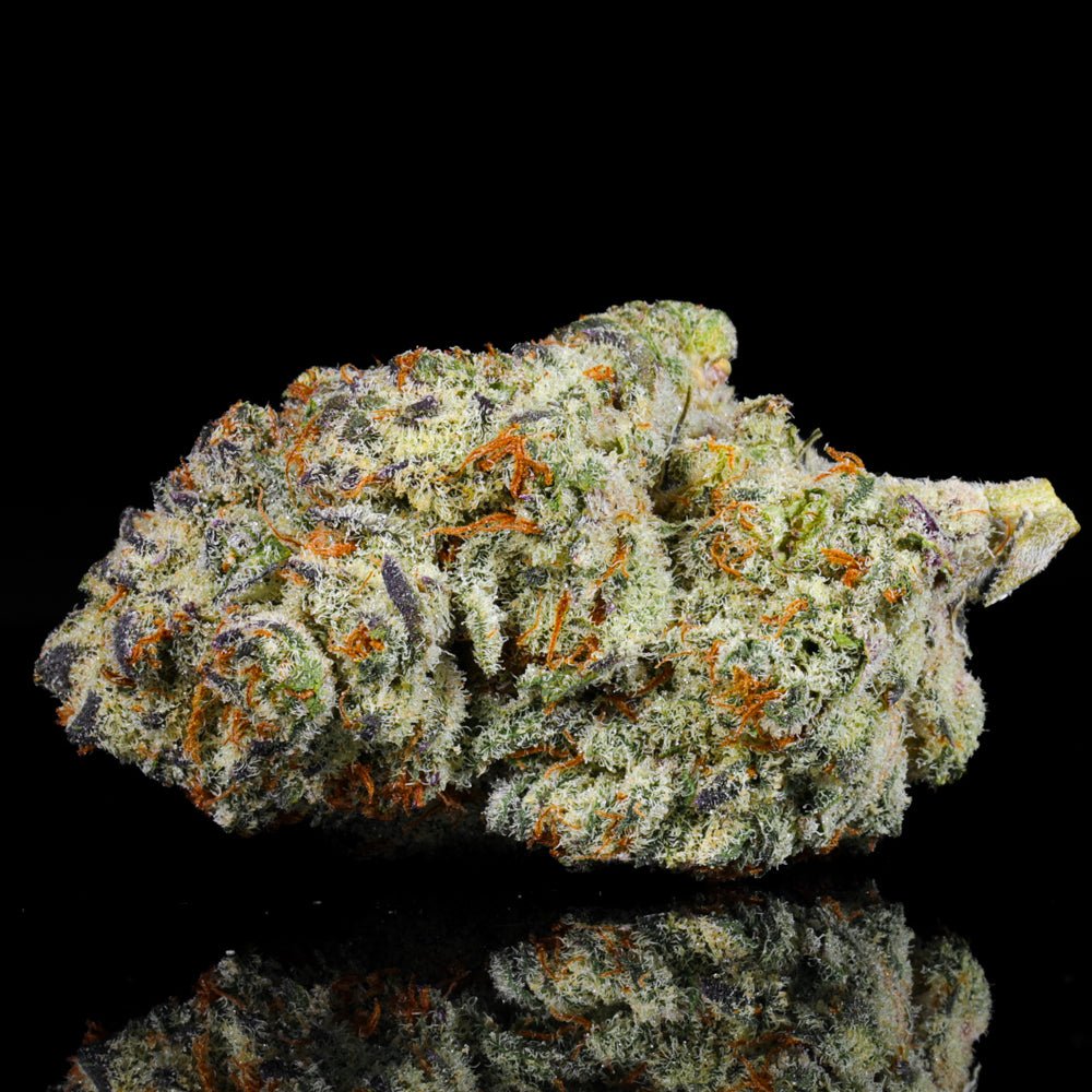 Purple Punch THCA Flower - Lost In Translation