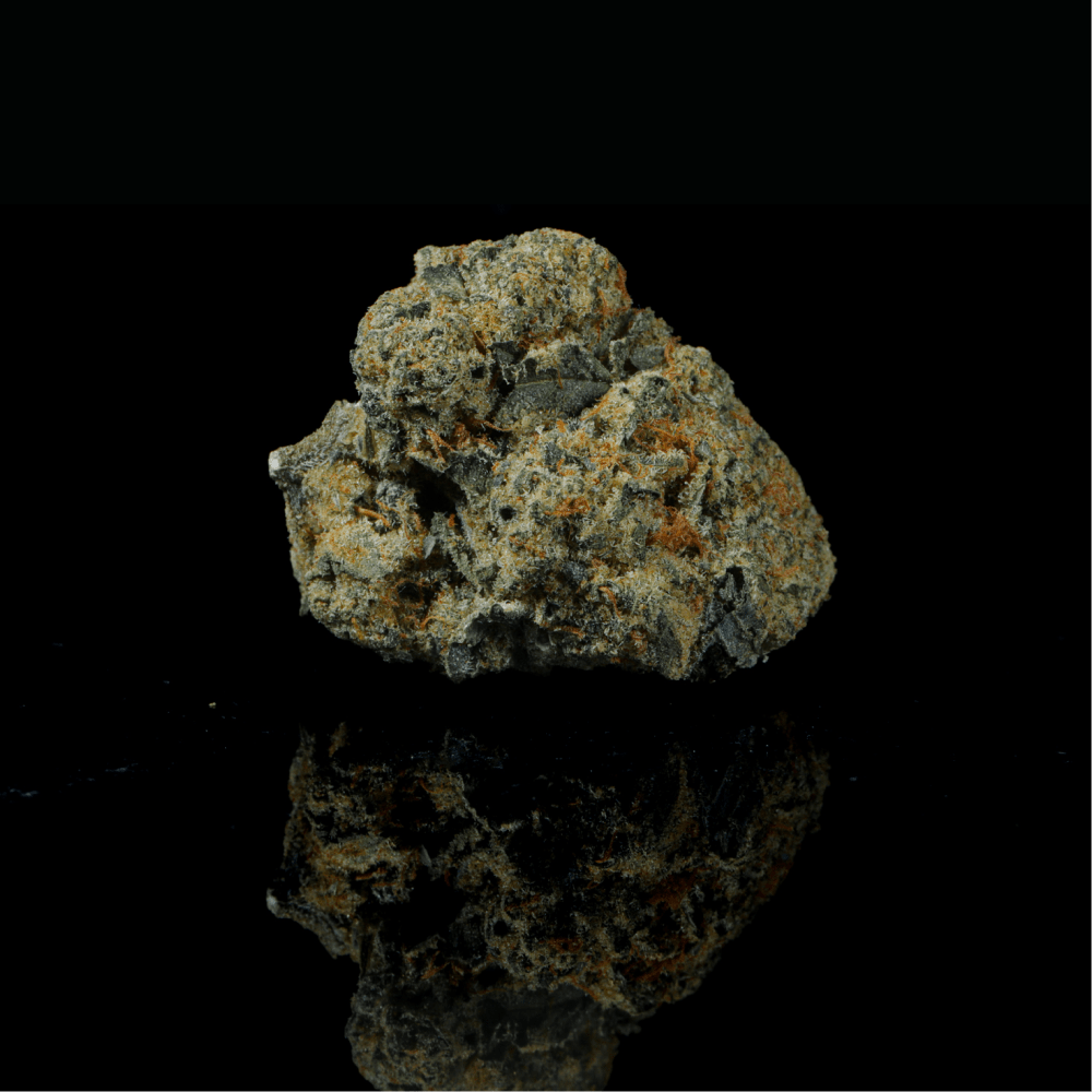 Purple Octane THCA Flower - Lost In Translation