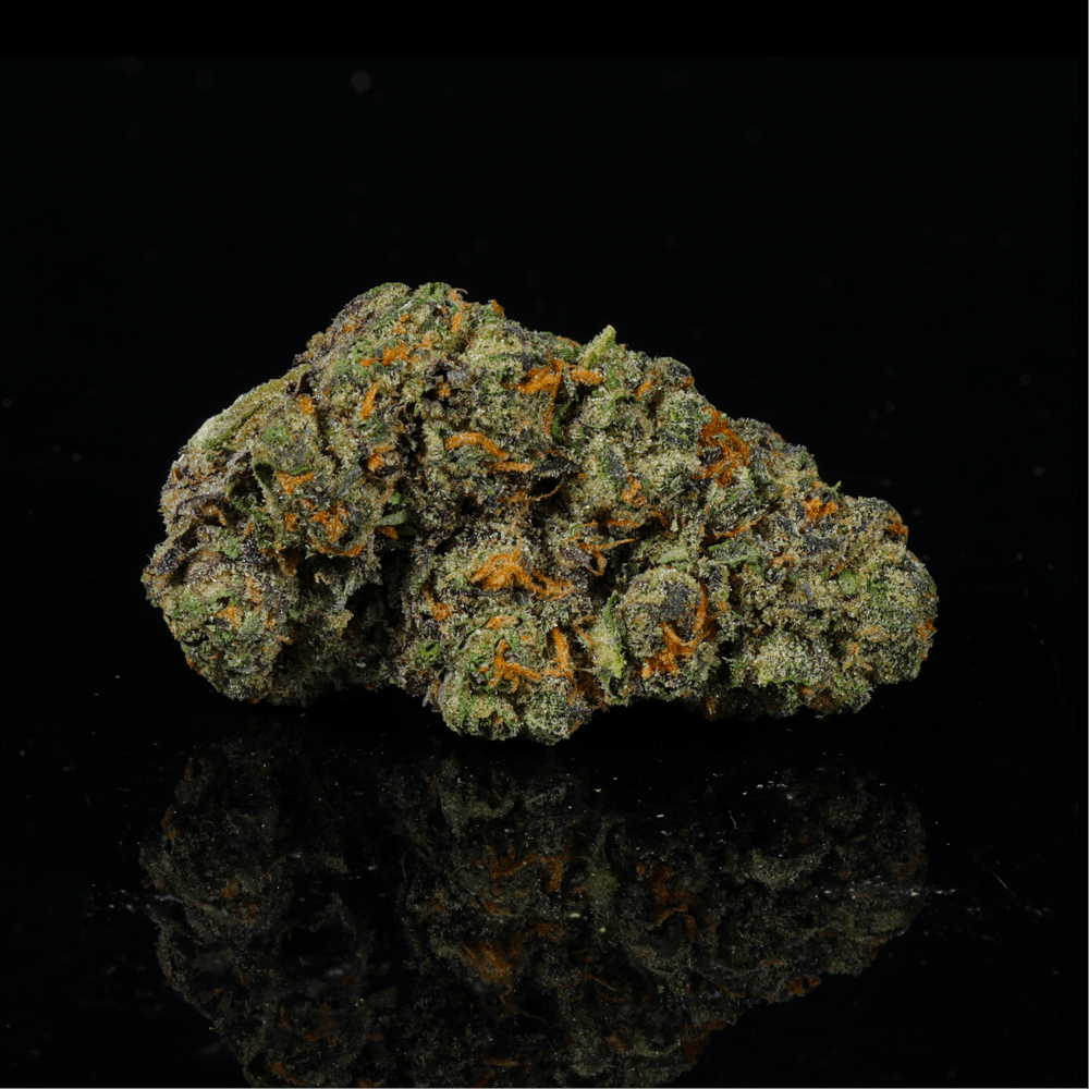 Purple Punch THCA Flower - Lost In Translation