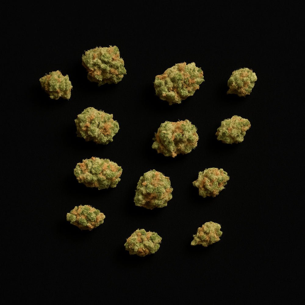 Rainbow Gelato THCA Flower - Lost In Translation