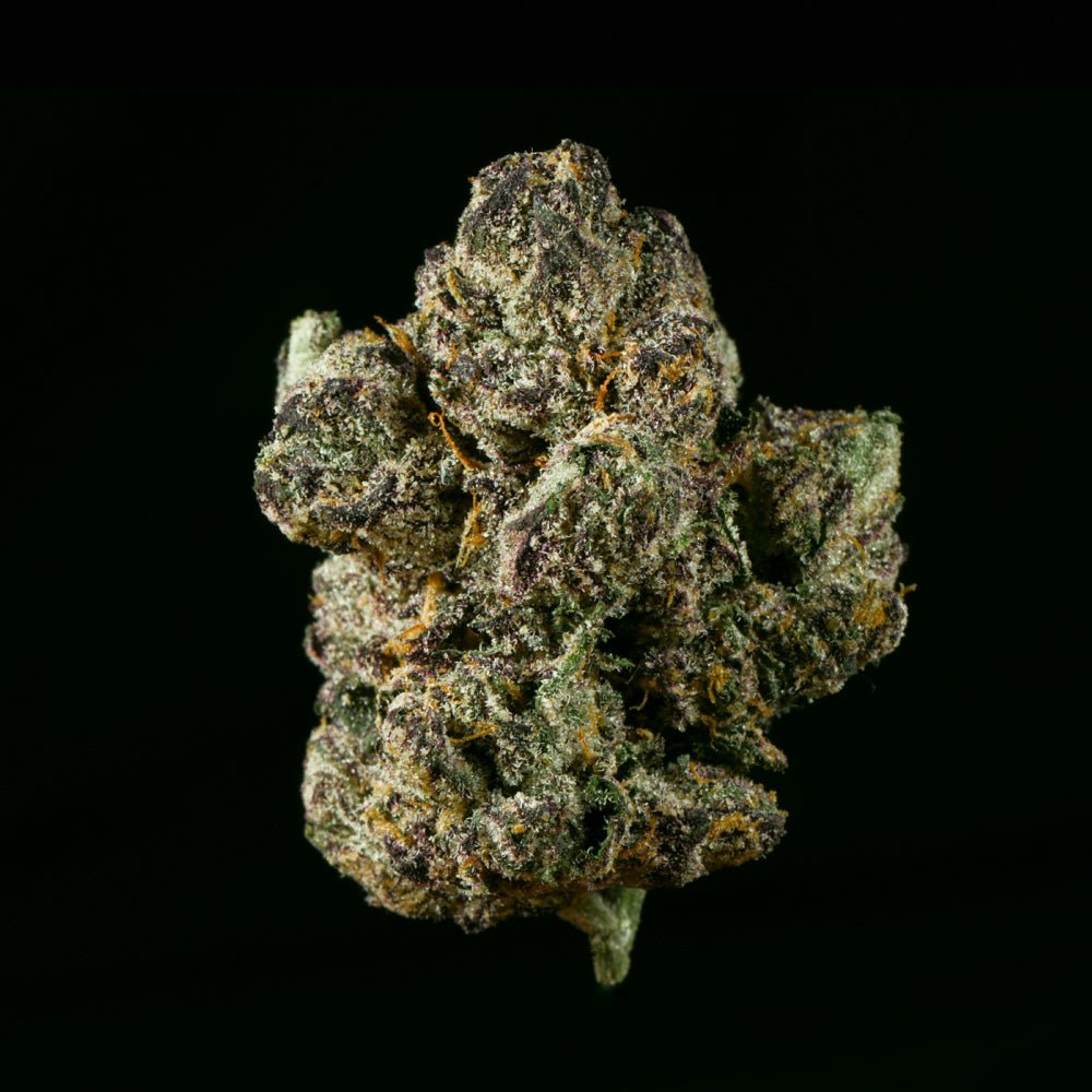 Rainbow Sherbert THCA Flower - Lost In Translation