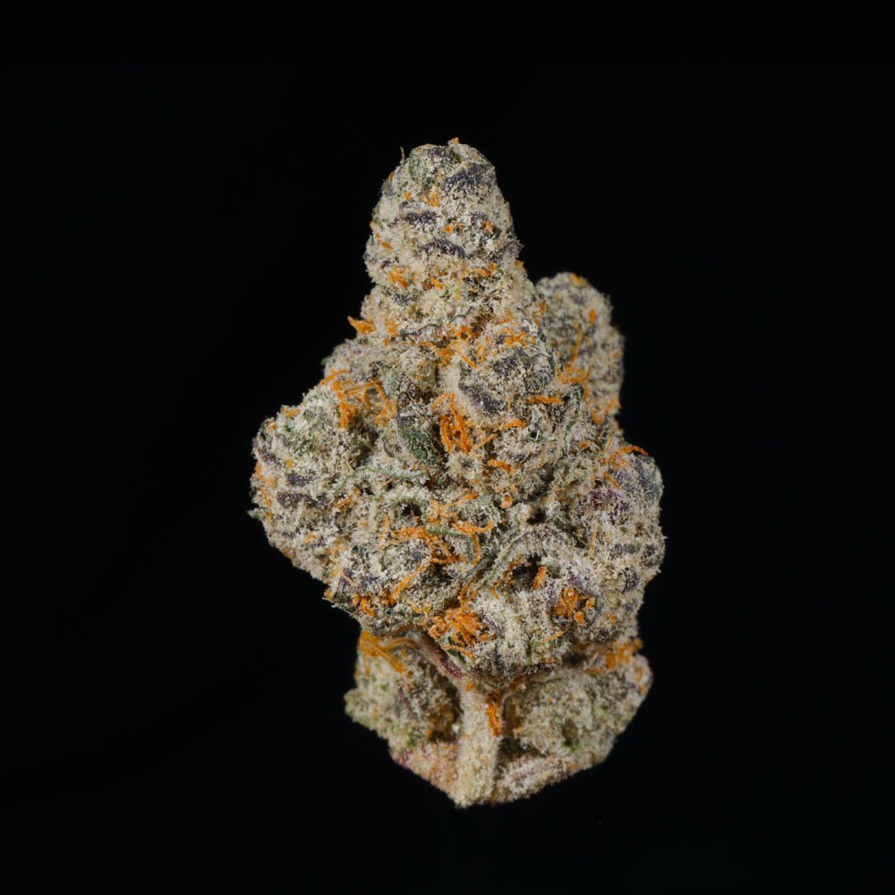 Rainbow Sherbert THCA Flower - Lost In Translation