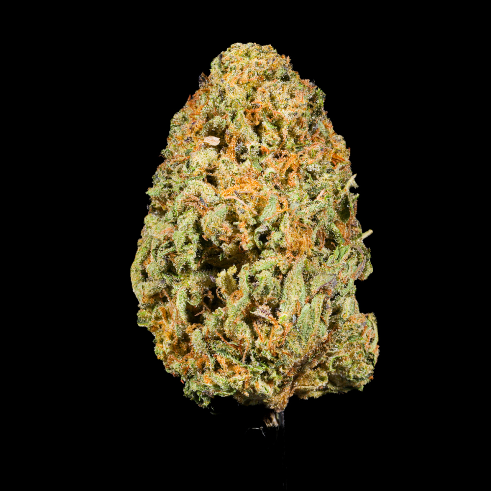 Rainbow Marker THCA Flower - Lost In Translation