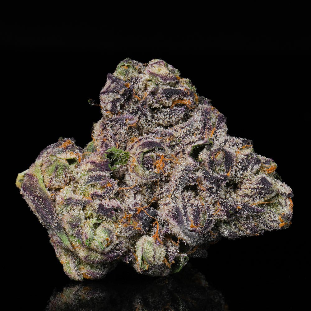 Rainbow Sherbert THCA Flower - Lost In Translation