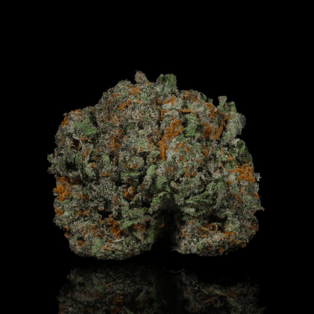 SFV OG THCA Flower - Lost In Translation