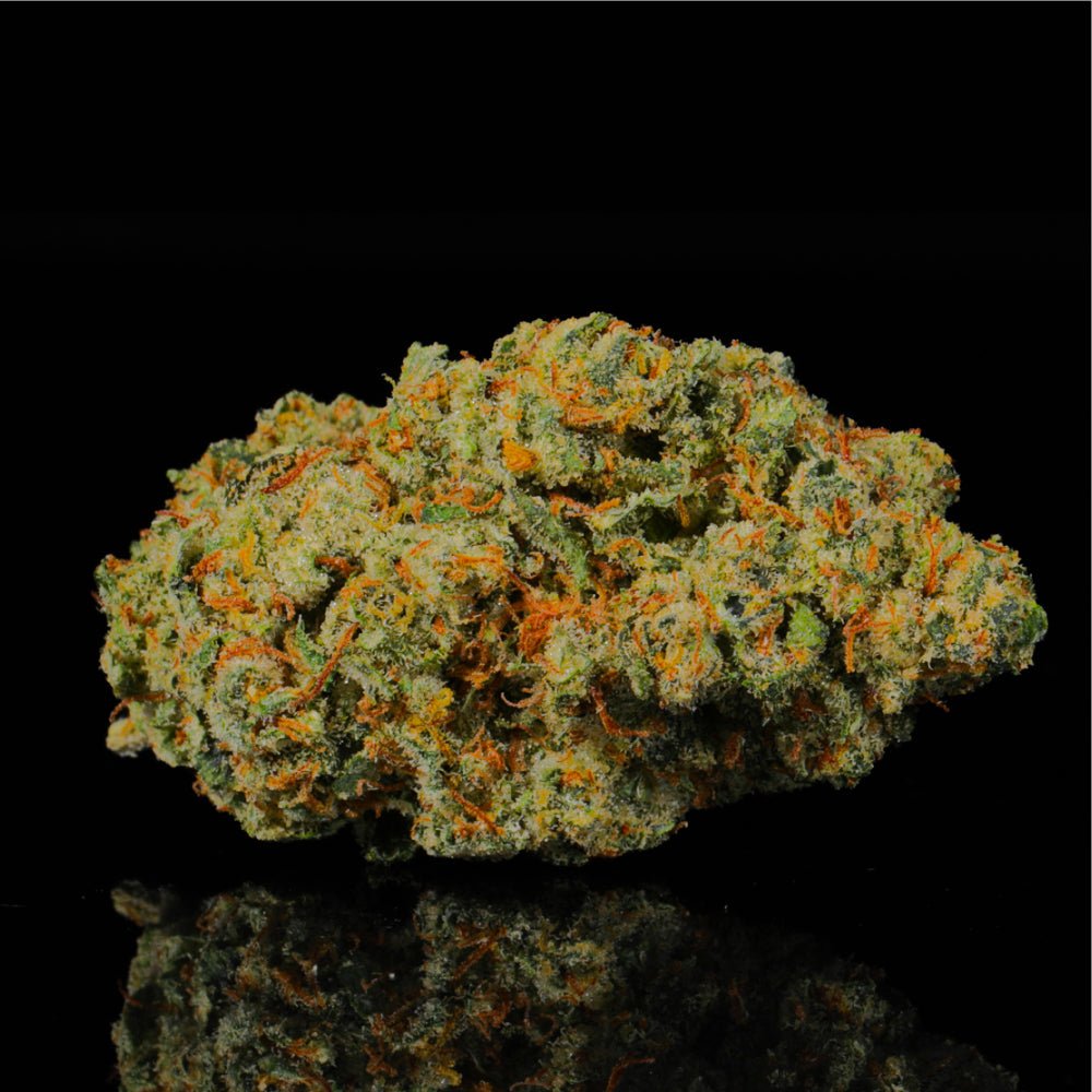 Slurricane THCA Flower - Lost In Translation