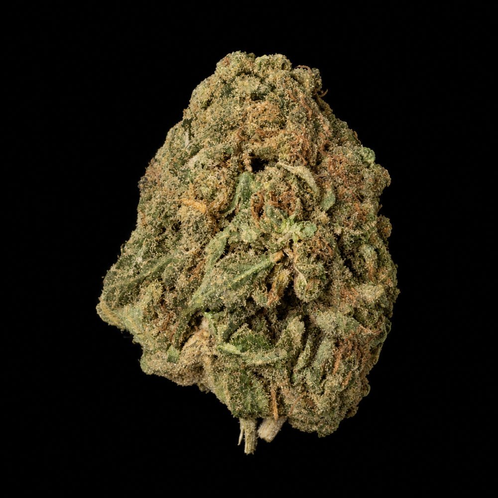 Sherbanger THCA Flower - Lost In Translation