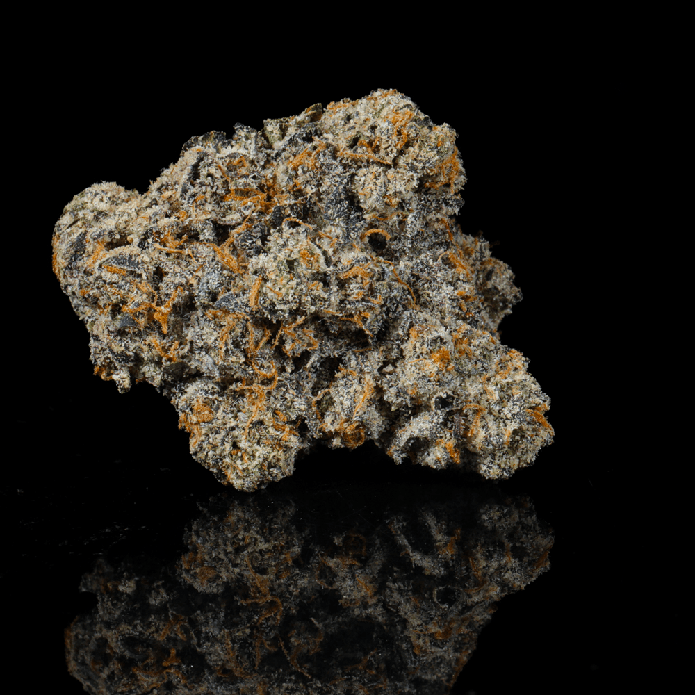 Sherbanger THCA Flower - Lost In Translation