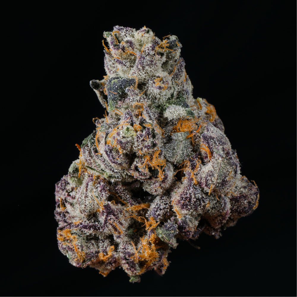 Sin City THCA Flower - Lost In Translation