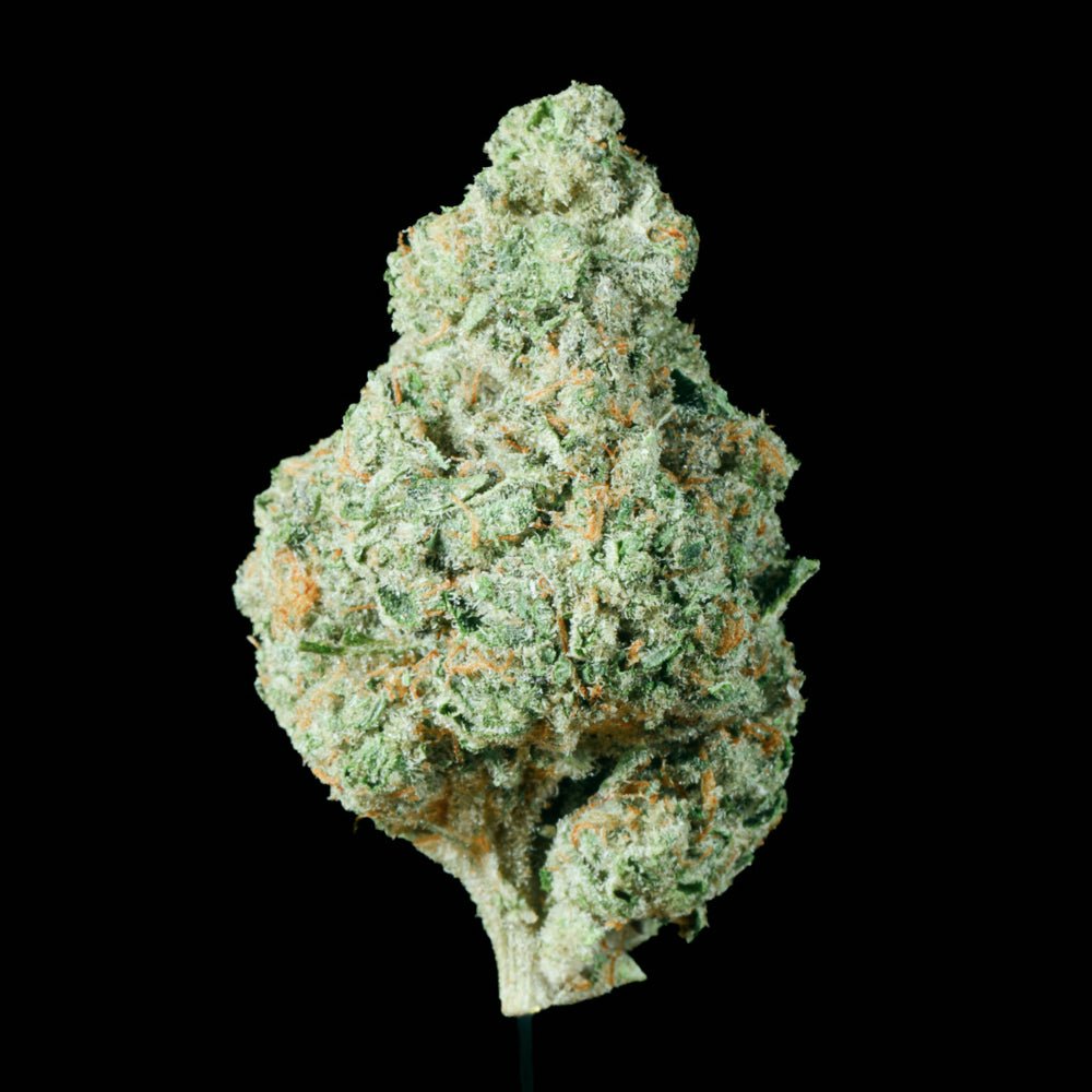 Slurricane THCA Flower - Lost In Translation