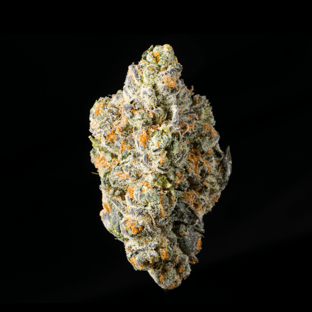 Smores THCA Flower - Lost In Translation