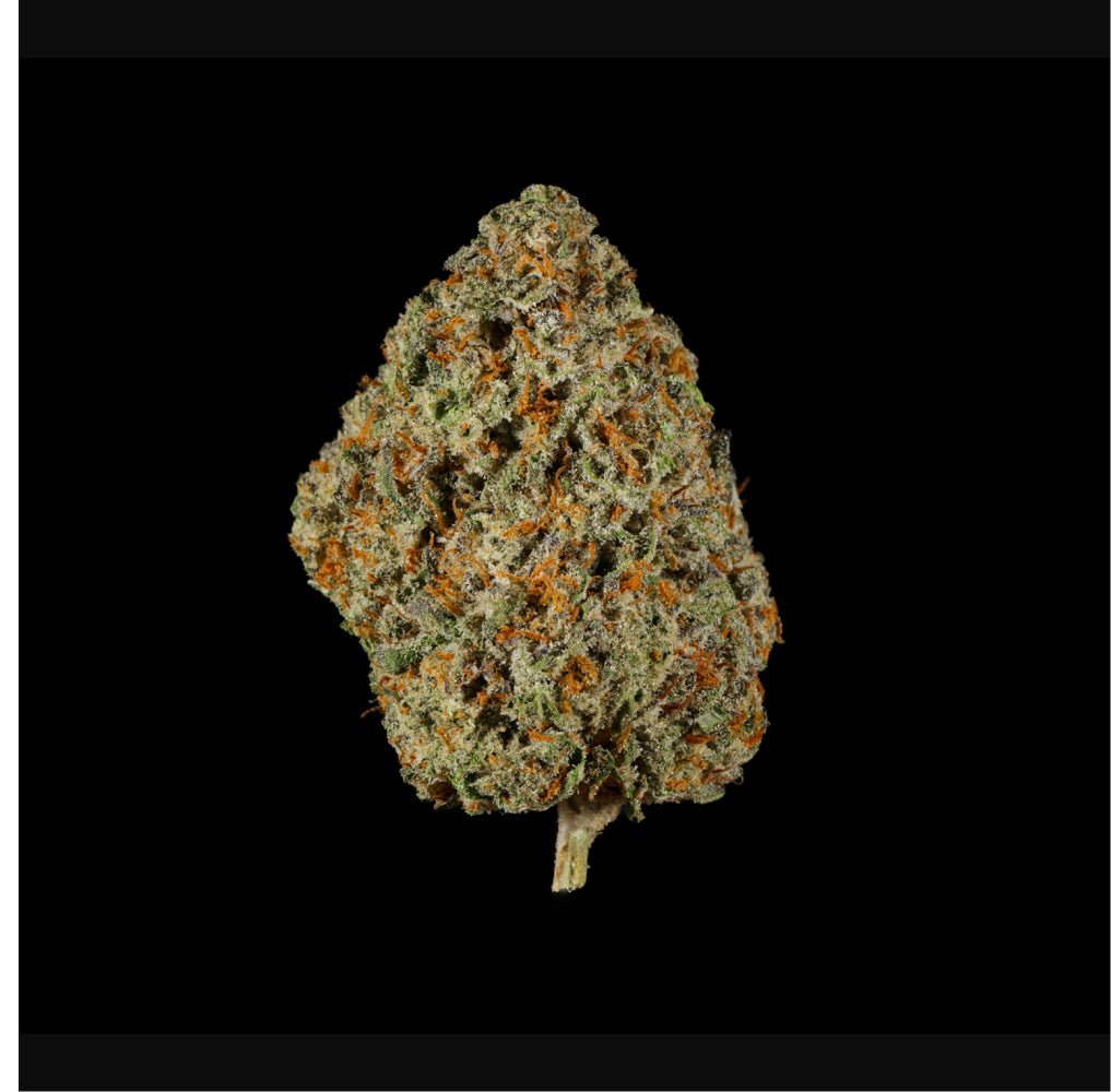 Sour Gushers THCA Flower - Lost In Translation