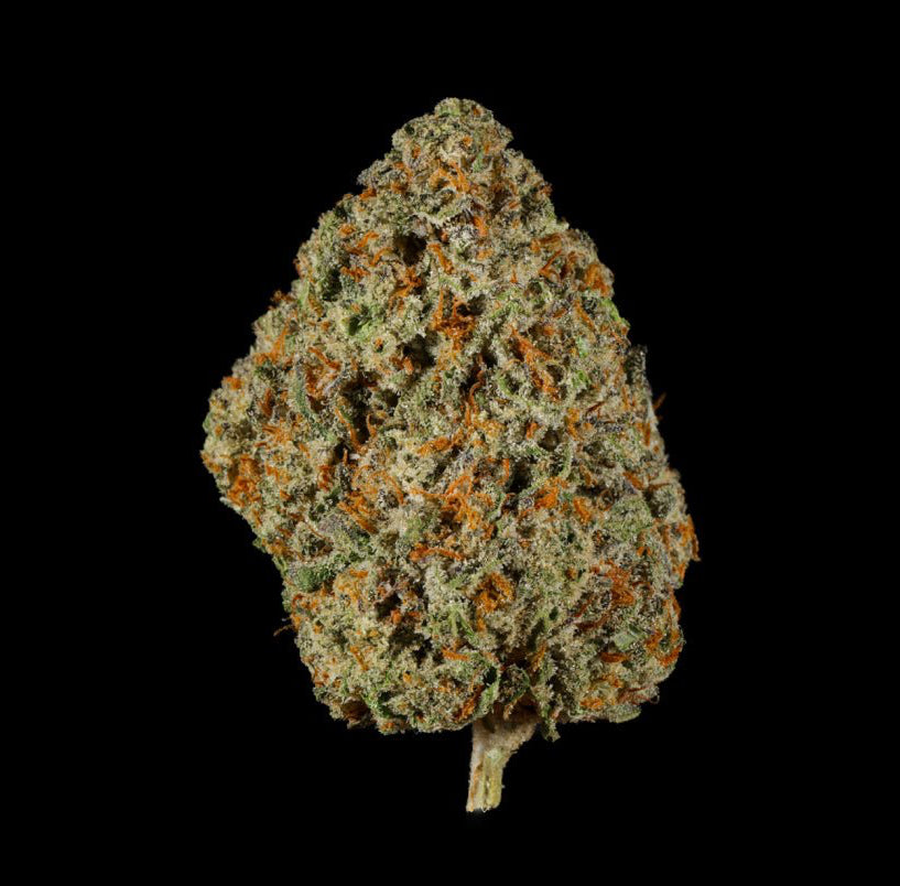 Sour Gushers THCA Flower - Lost In Translation