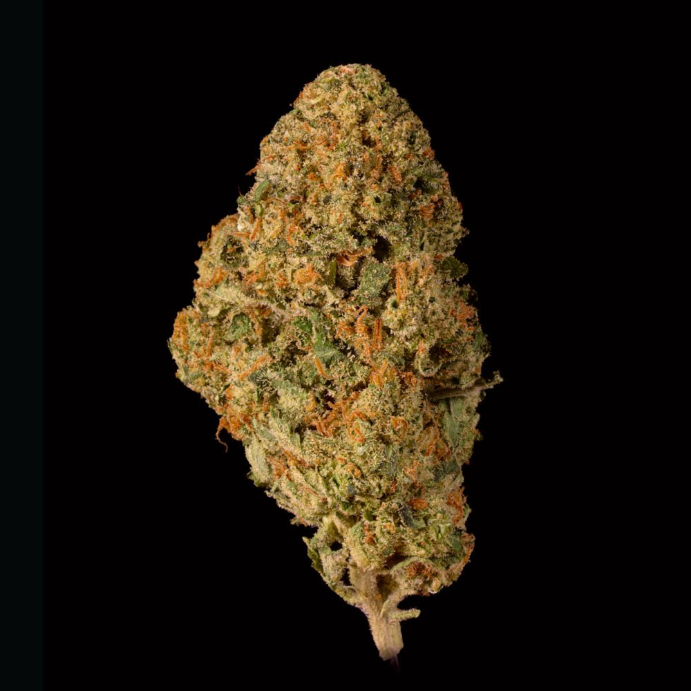 Strawberry Lemonade THCA Flower - Lost In Translation