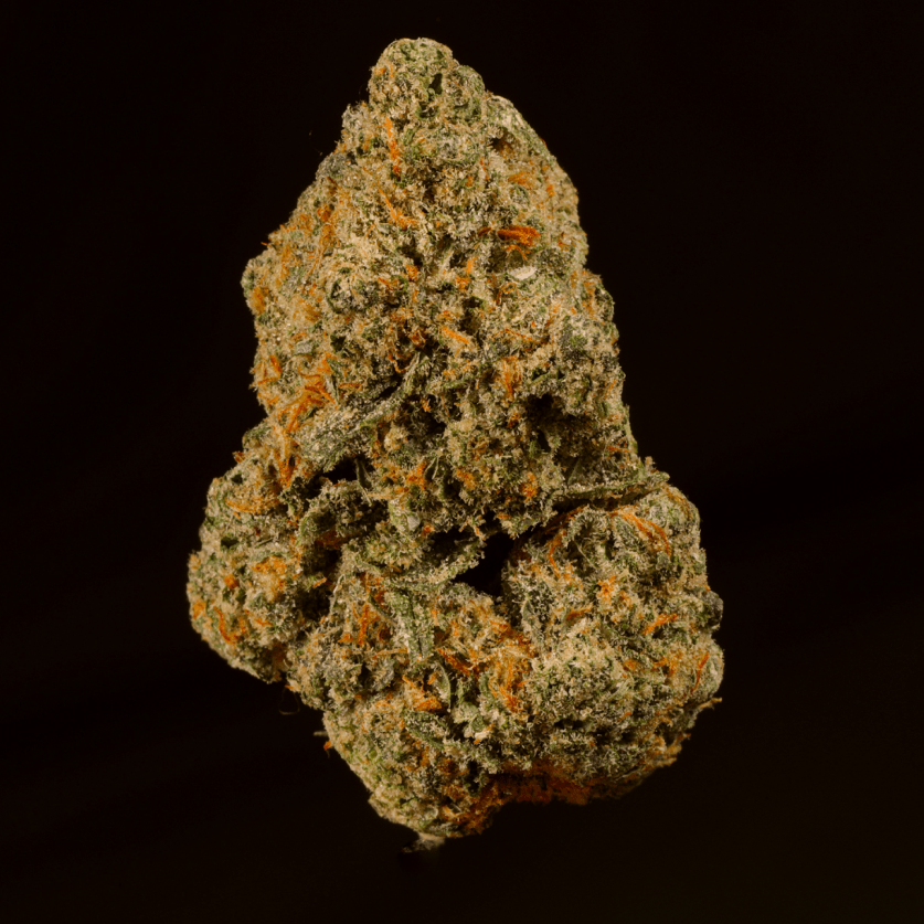 Sunset Sherbert THCA Flower - Lost In Translation