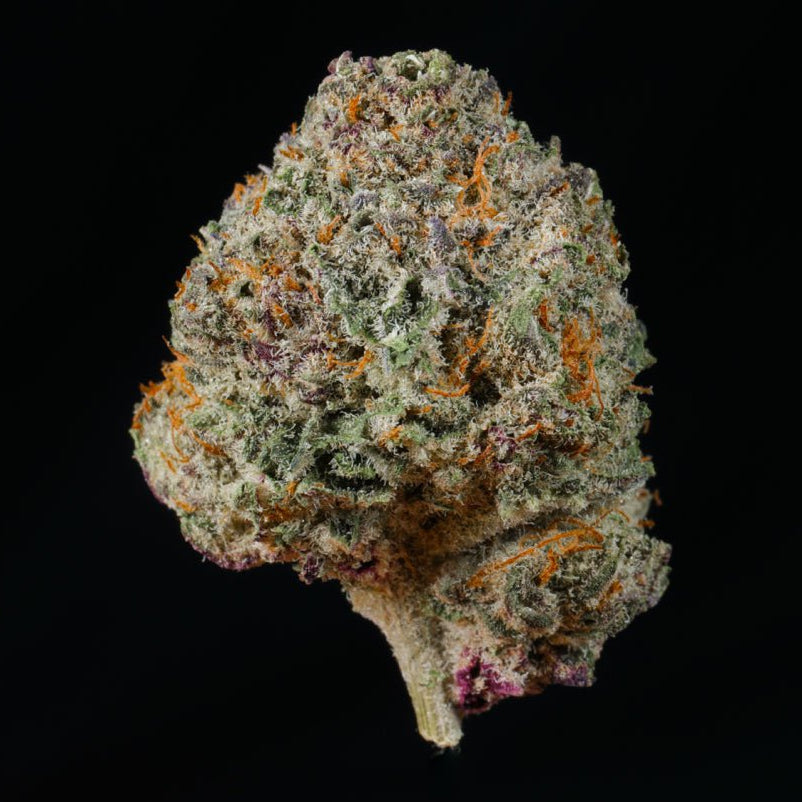 Super Boof THCA Flower - Lost In Translation