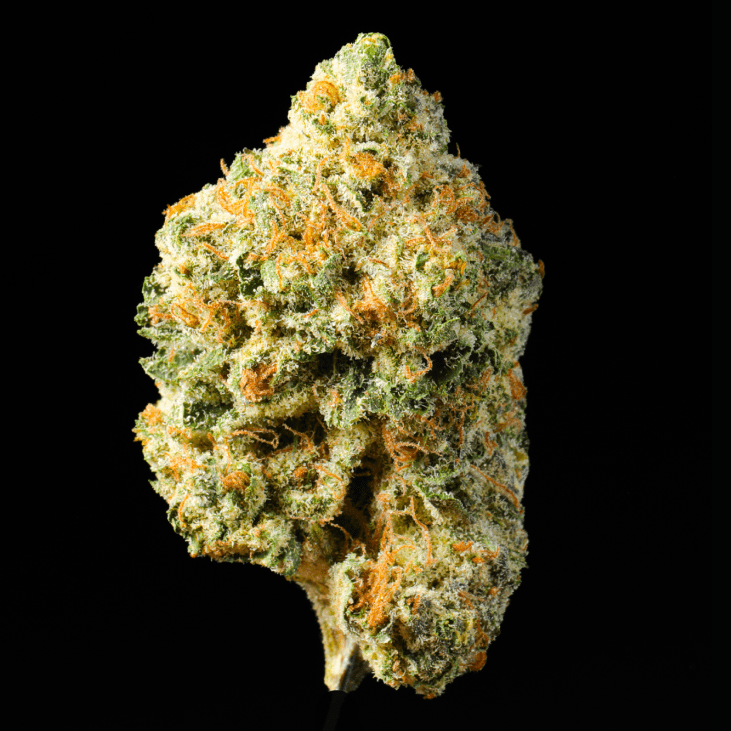 Super Runtz THCA Flower - Lost In Translation