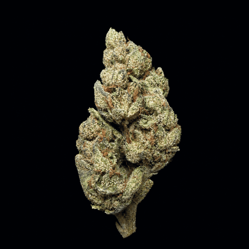 Super Runtz THCA Flower - Lost In Translation