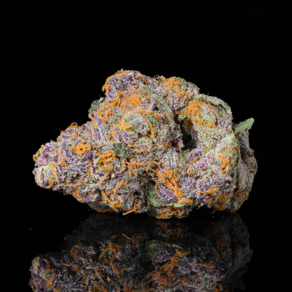 Tear Gas THCA Flower - Lost In Translation