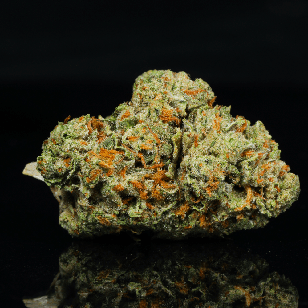 Tear Gas THCA Flower - Lost In Translation