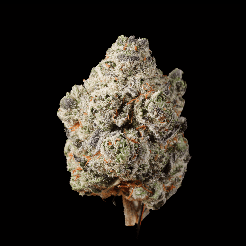 Tear Gas THCA Flower - Lost In Translation