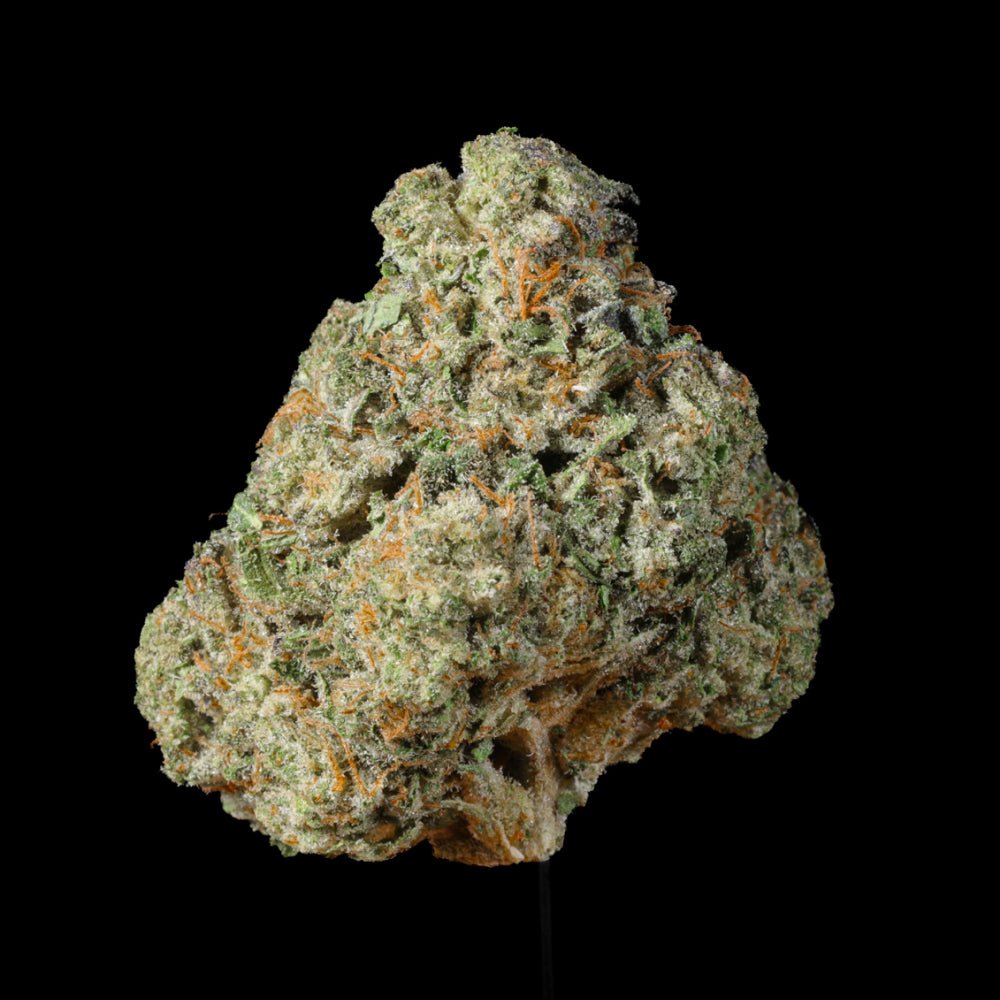 Triangle Kush Cake THCA Flower - Lost In Translation