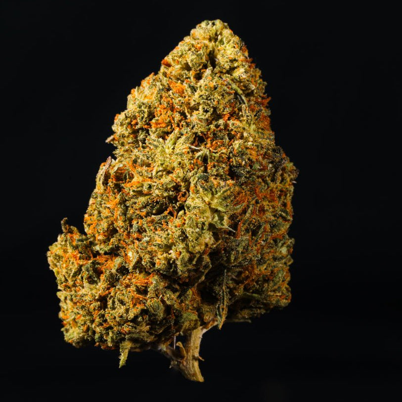 Tropical Cookies THCA Flower - Lost In Translation