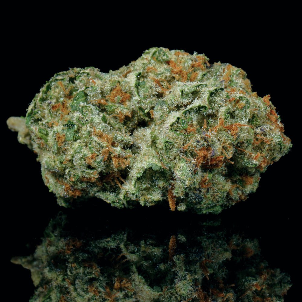 Truffle Cake THCA Flower - Lost In Translation