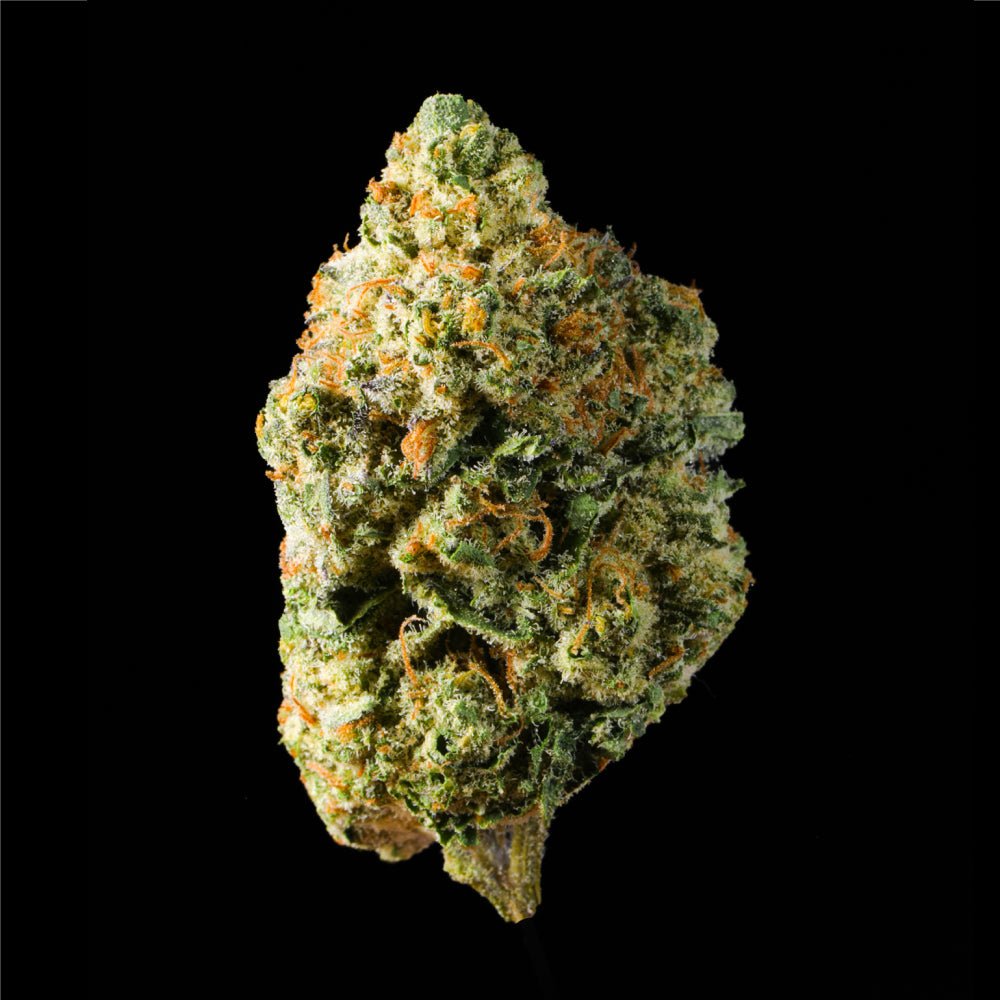 Vanilla Cream Pie THCA Flower - Lost In Translation