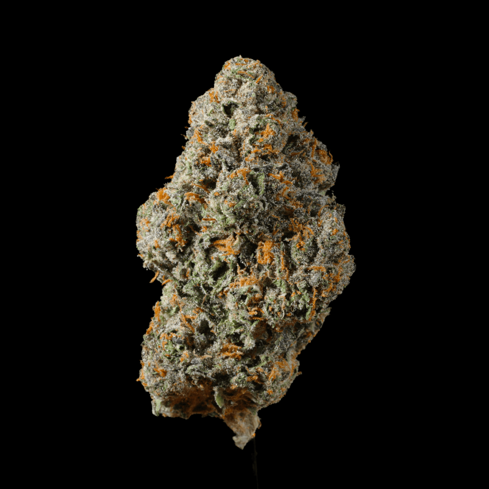 Vanilla Cream Cake THCA Flower - Lost In Translation