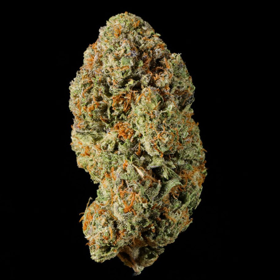 Velvet Gas THCA Flower - Lost In Translation