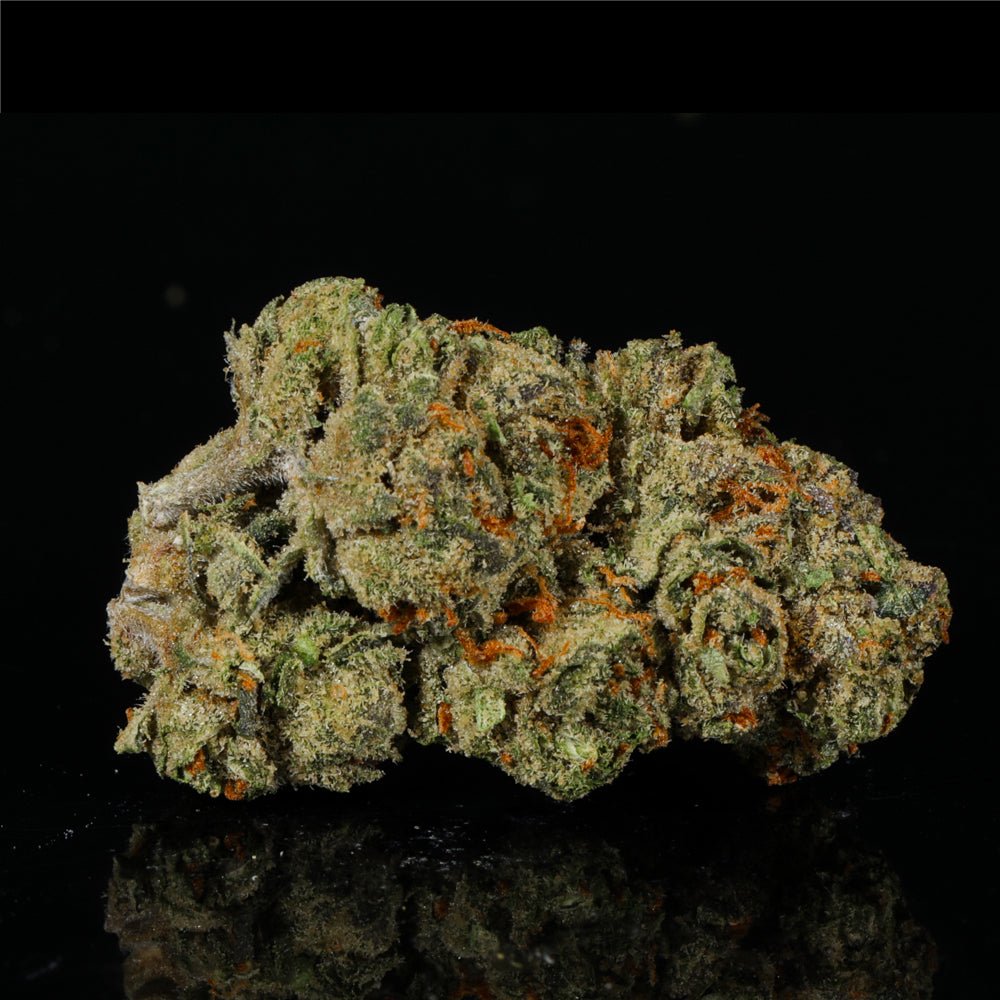 Watermelon Gelato THCA Flower - Lost In Translation