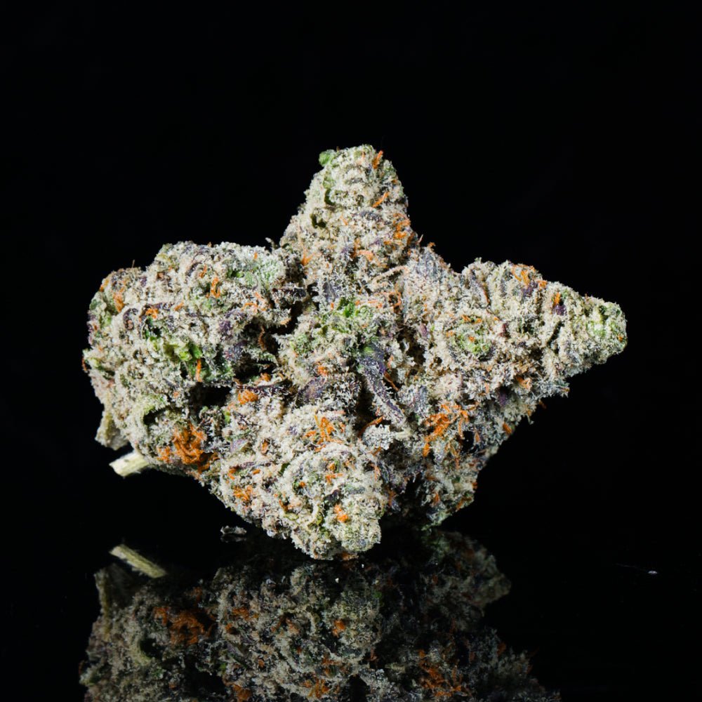 White Runtz THCA Flower - Lost In Translation