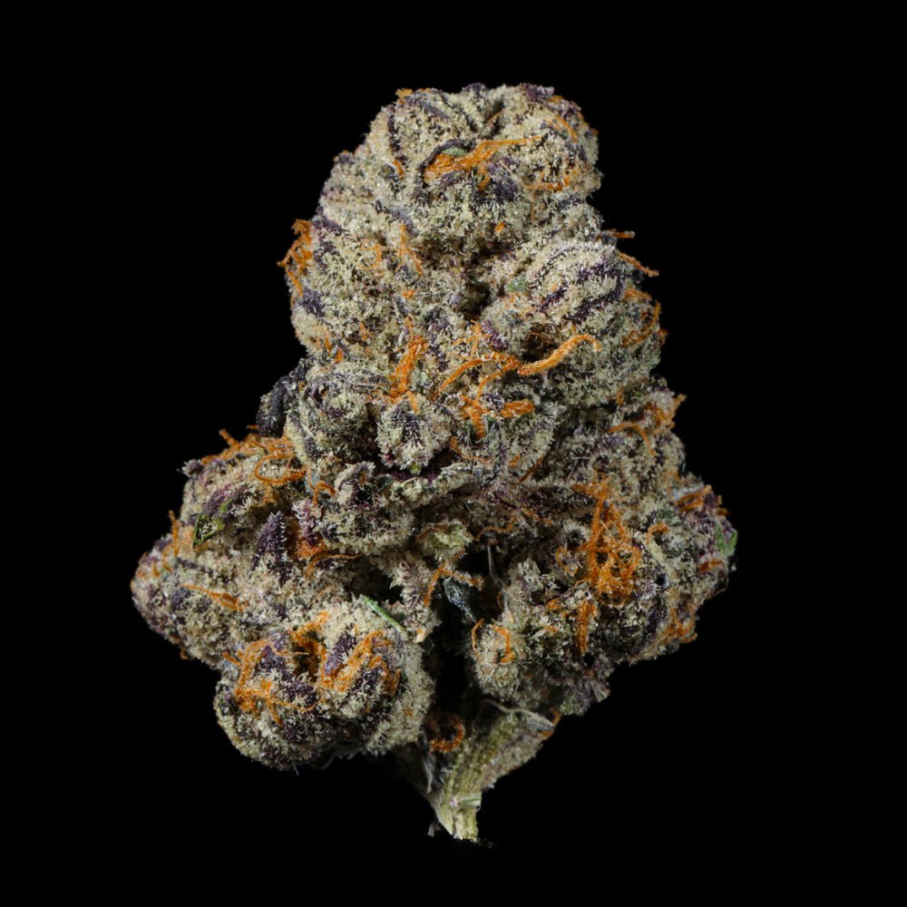 Z - Runtz THCA Flower - Lost In Translation