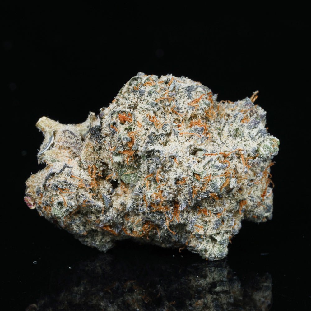 Z - Topia THCA Flower - Lost In Translation