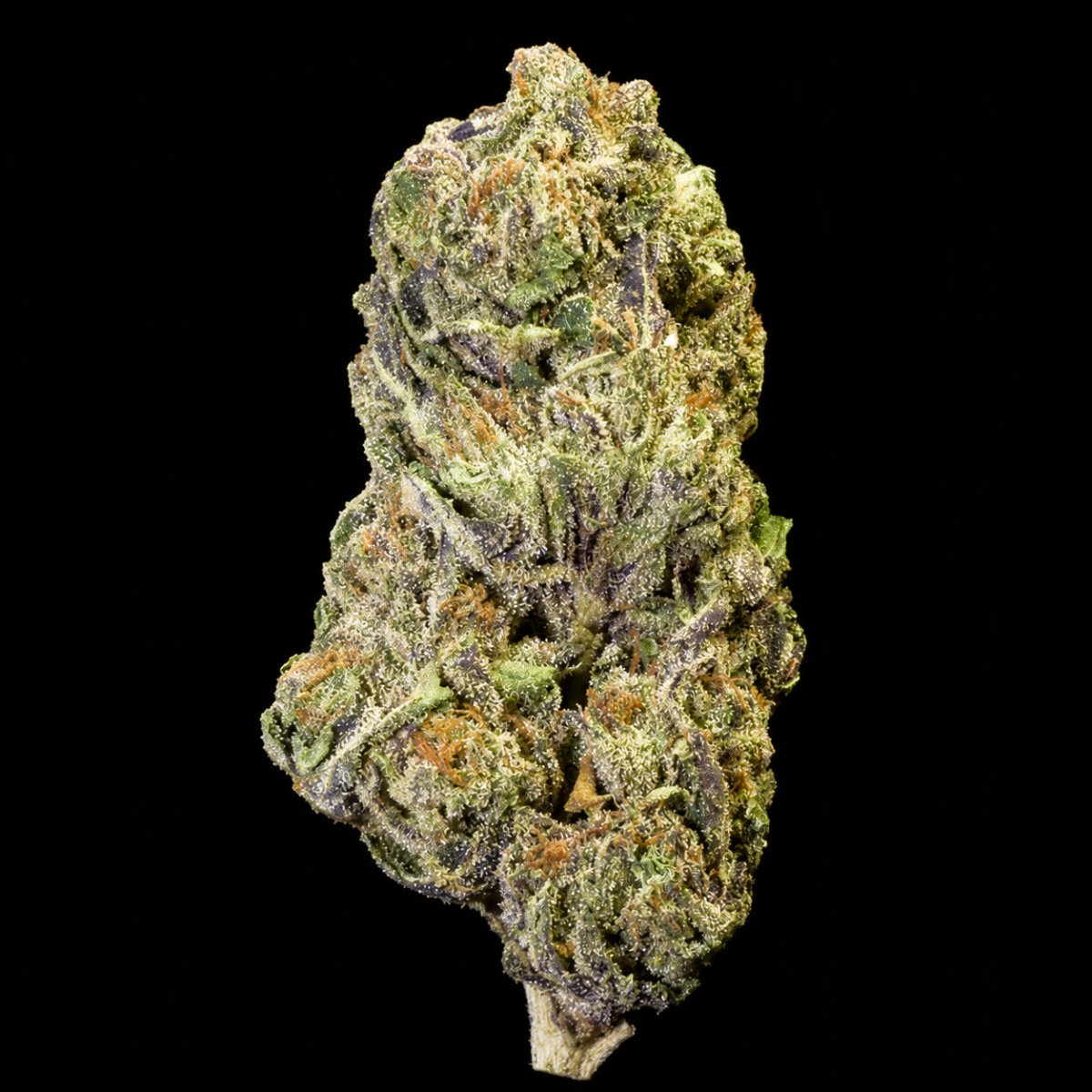 Candy Chrome THCA Flower - Lost In Translation