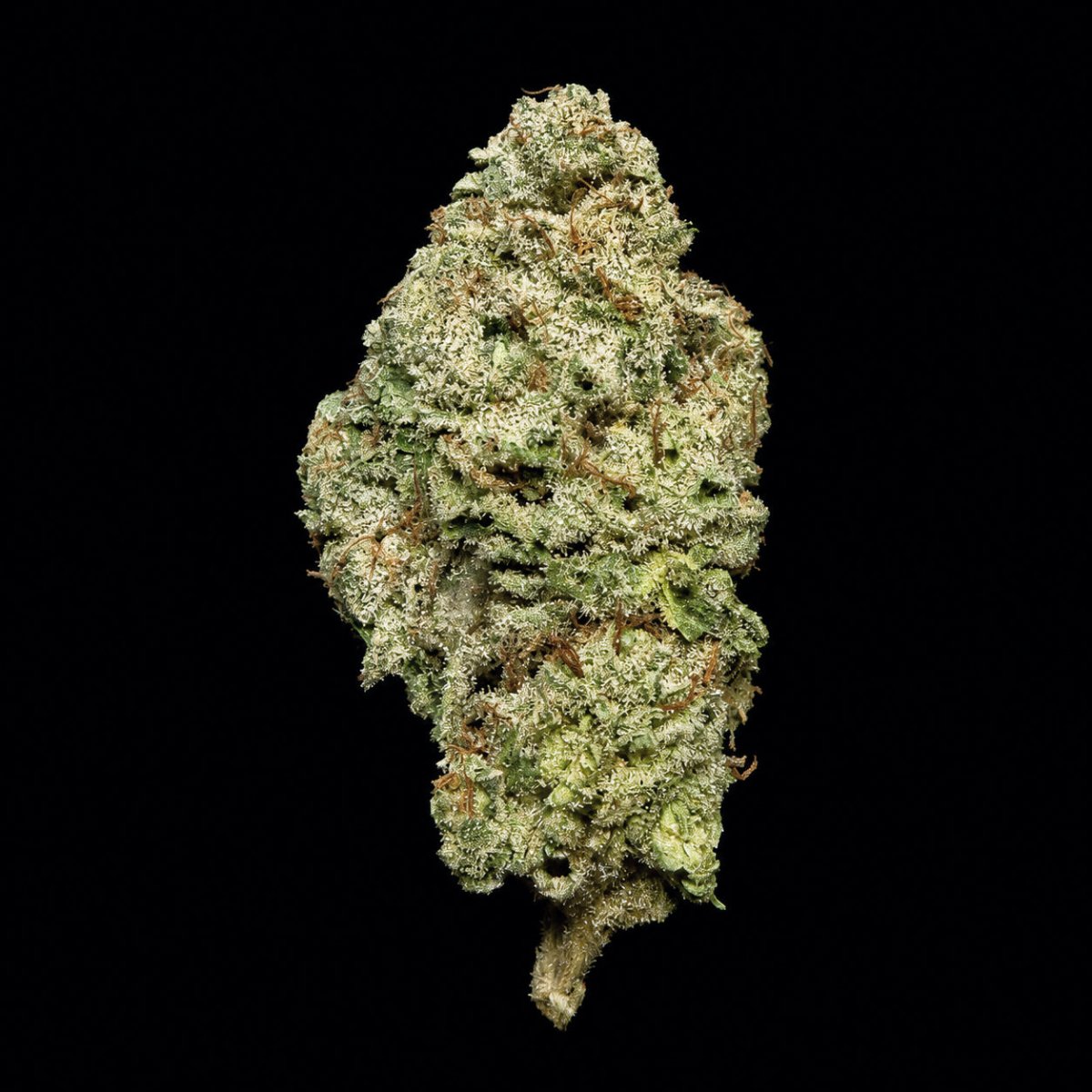 Cookies and Cream THCA Flower - Lost In Translation