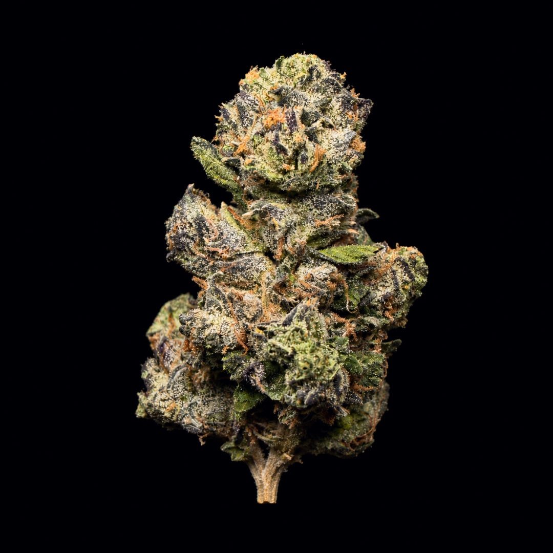 Lemon Cherry Gelato THCA Flower - Lost In Translation