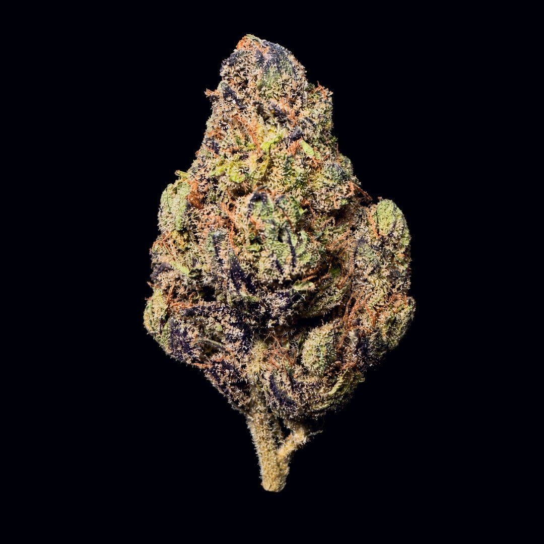 Nightmare Runtz THCA Flower - Lost In Translation