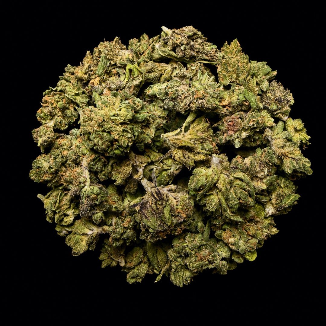Sour Lemon THCA Flower - Lost In Translation