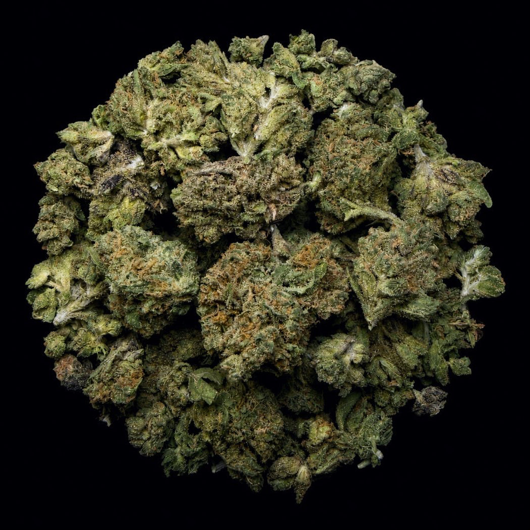 Hashburger THCA Flower - Lost In Translation