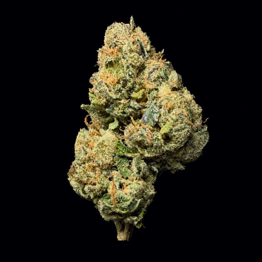 Jealousy THCA Flower - Lost In Translation
