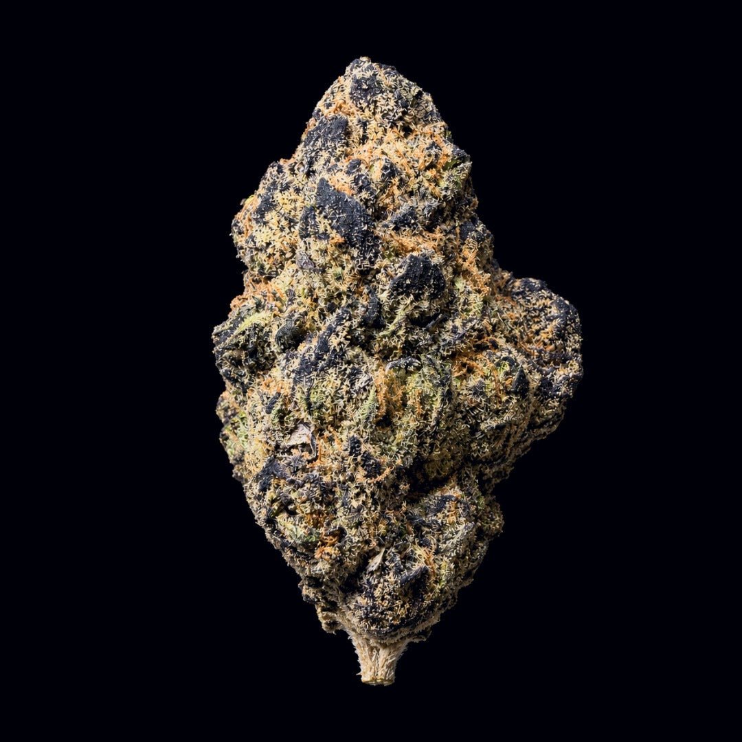 Formula One THCA Flower - Lost In Translation