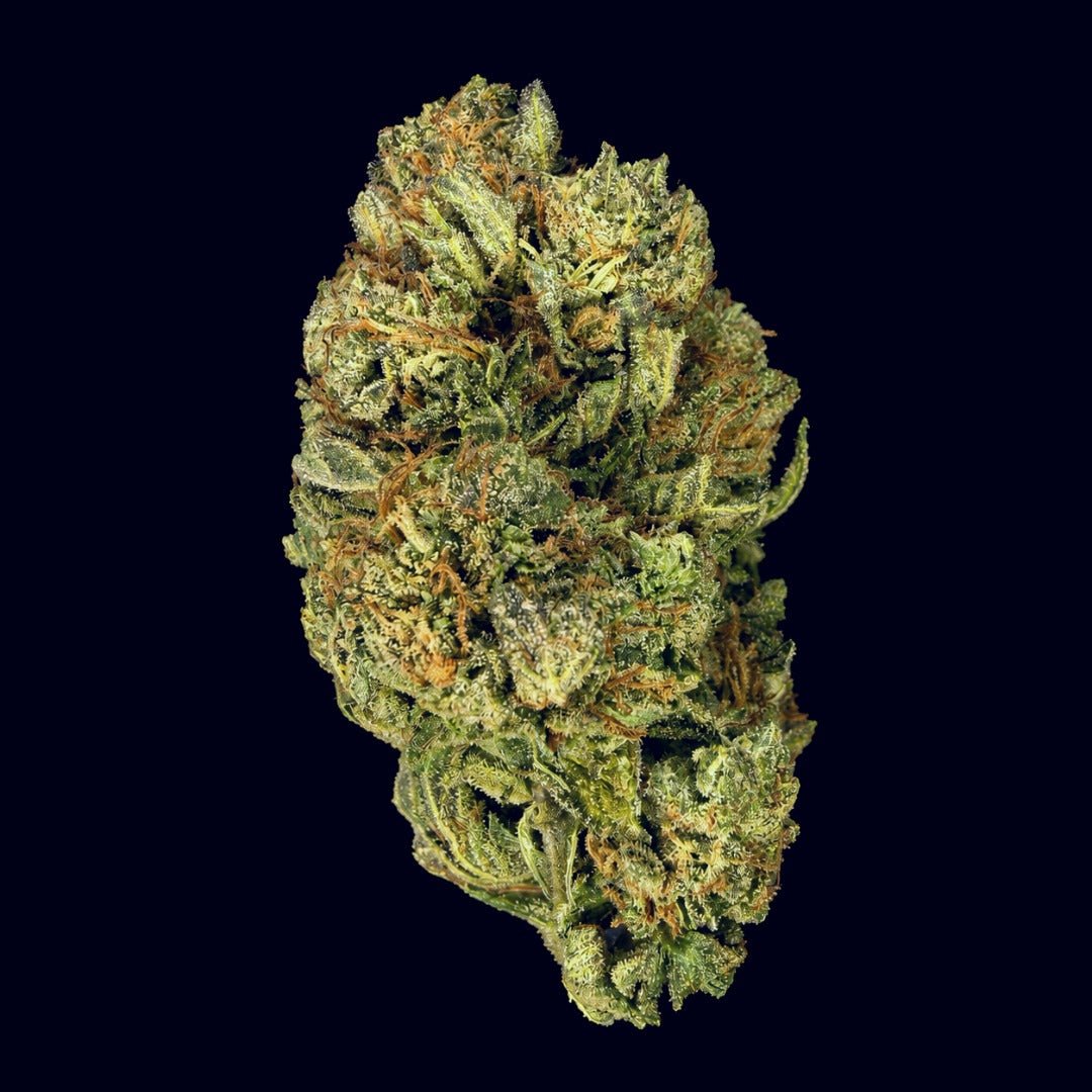 Gas Face THCA Flower - Lost In Translation