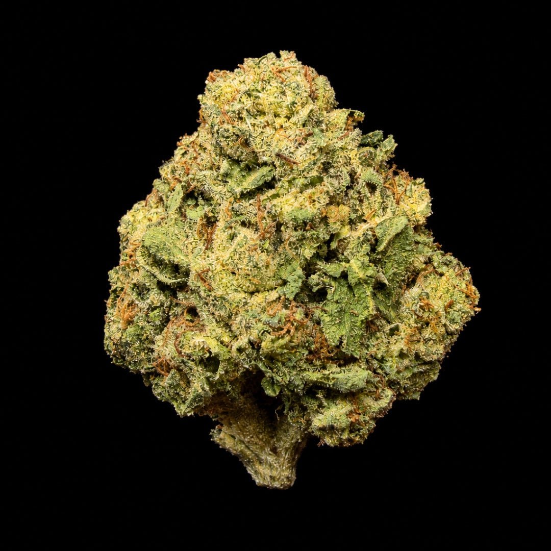 Rocket Fuel THCA Flower - Lost In Translation